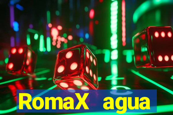 RomaX agua sanitaria fispq agua sanitaria romax